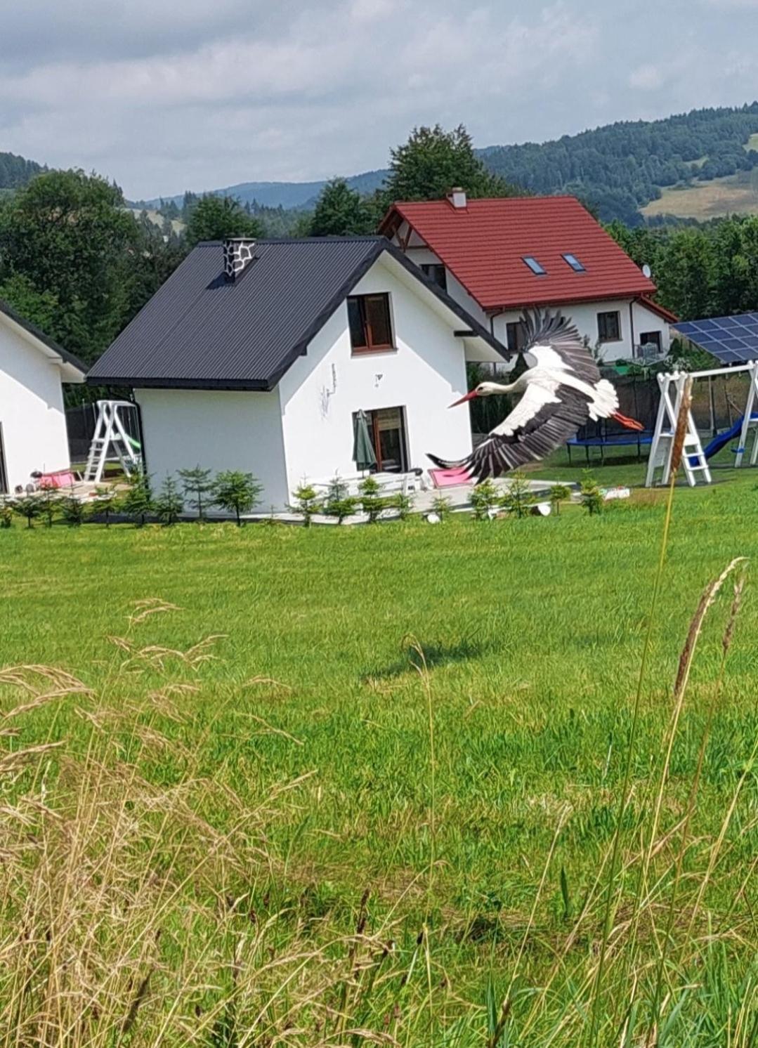 Domek Pod Holica 2 Bieszczady Ustrzyki Dolne Ngoại thất bức ảnh